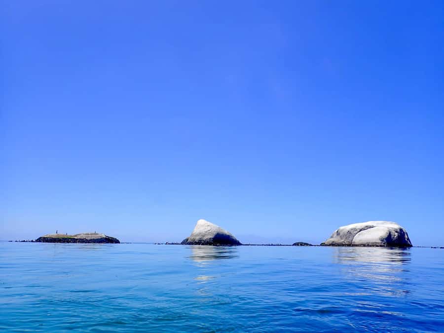 Cape Town: Discover Scuba Diving - 1 day experience - The second hour: safety before excitement