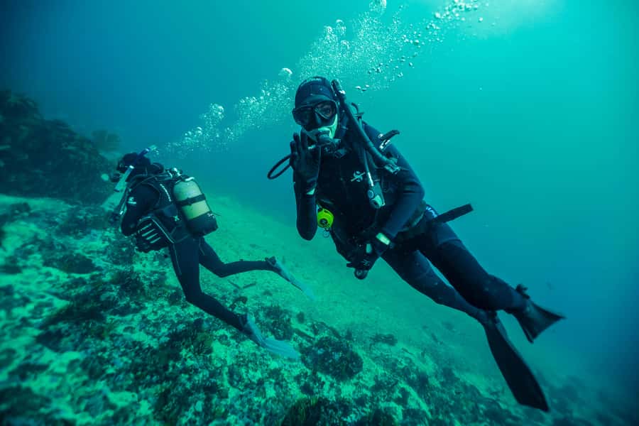 Cape Town: Discover Scuba Diving - 1 day experience - What $155 includes, and what it does not