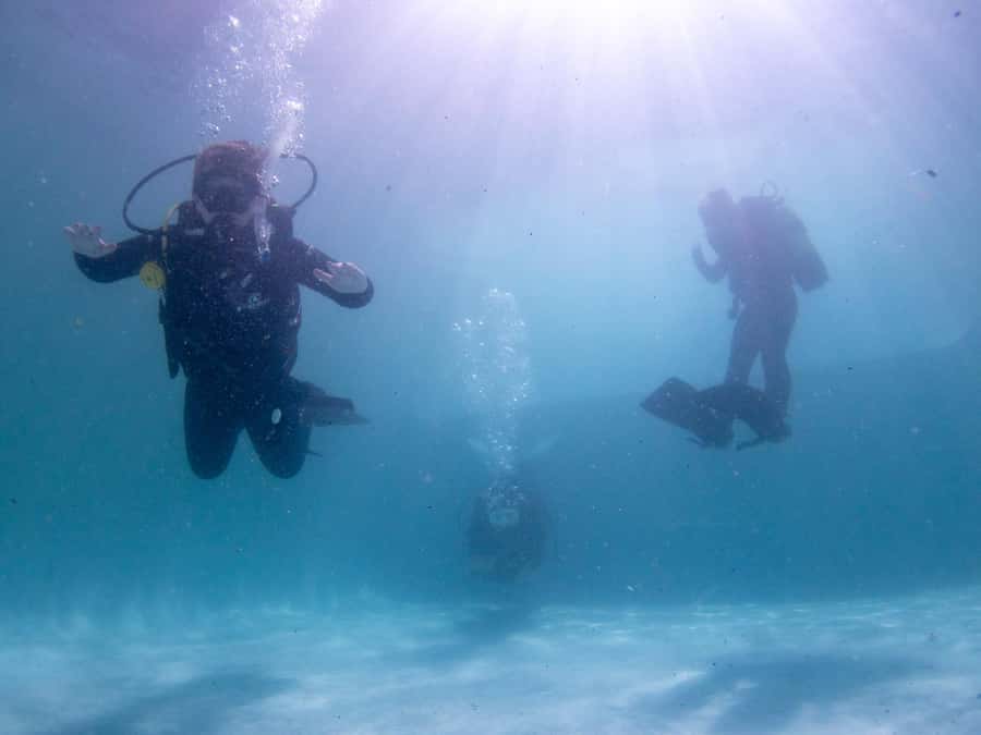 Cape Town: Discover Scuba Diving - 1 day experience - Who should choose this Cape Town experience?