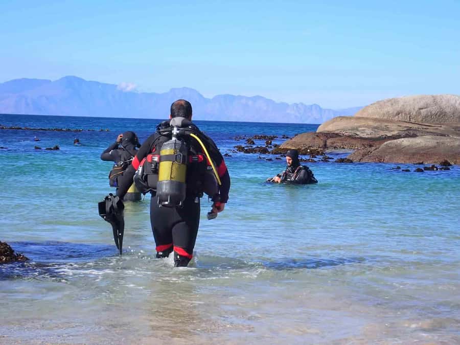Cape Town: Discover Scuba Diving - 1 day experience - The first hour: learning how scuba works