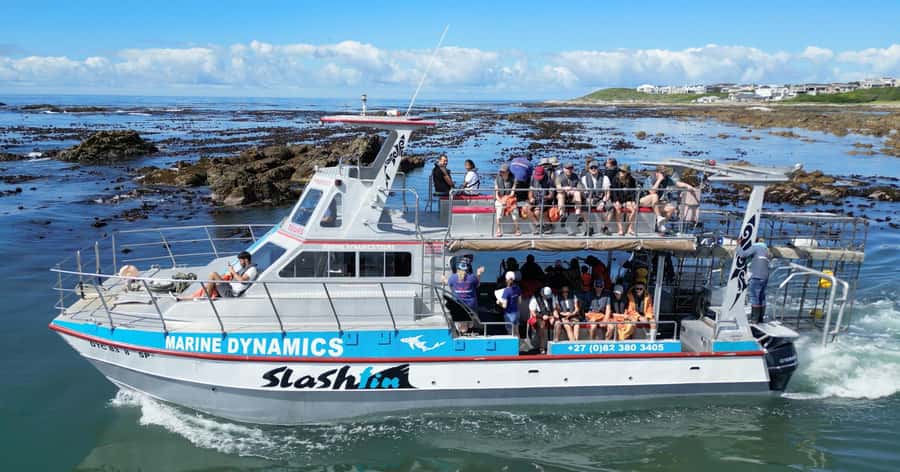 Cape Town: Gansbaai Eco-Friendly Shark Cage Diving Cruise - The long road from Cape Town to Gansbaai
