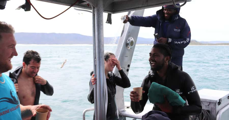 Cape Town: Gansbaai Eco-Friendly Shark Cage Diving Cruise - Warm soup, fresh bread, and the seabird sanctuary
