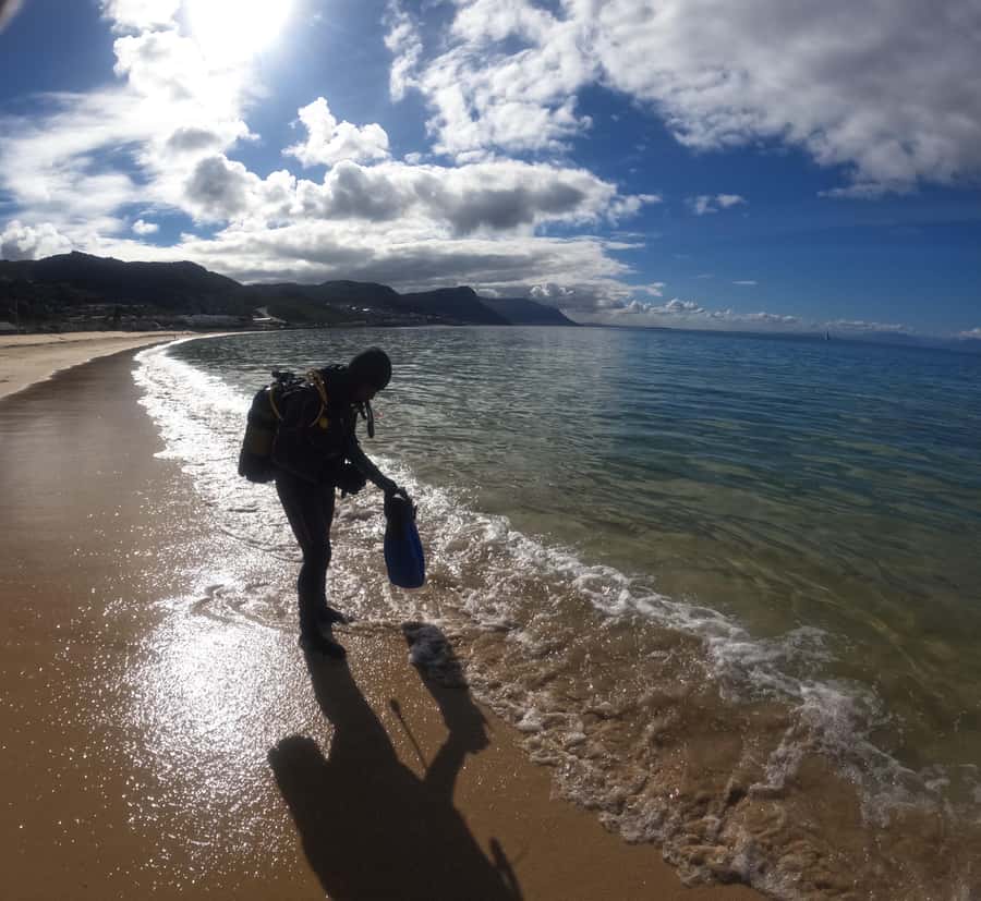 Cape Town: Scuba Diving Experience for Beginners - Why Simon’s Town is a good place to start