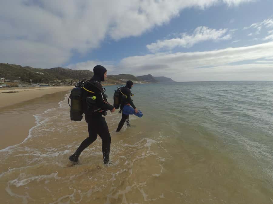 Cape Town: Scuba Diving Experience for Beginners - Forty-five minutes to get comfortable