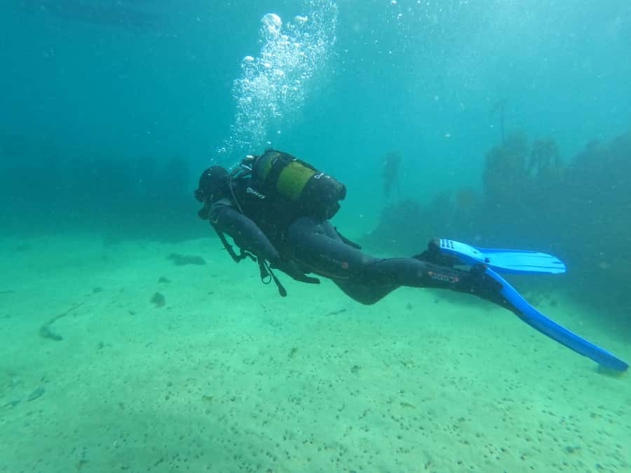 Cape Town: Scuba Diving Experience for Beginners - Choosing the underwater site