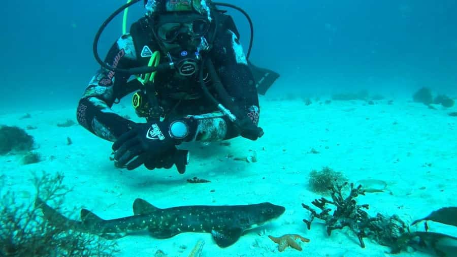 Cape Town: Scuba Diving Experience for Beginners - What makes the instruction especially useful