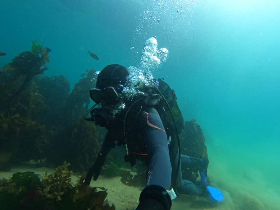 Cape Town: Scuba Diving Experience for Beginners - Health, age, and comfort limits