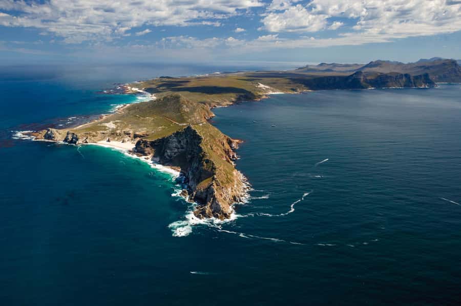 Cape Town: Shark Cage Dive - My verdict on Apex Shark Expeditions