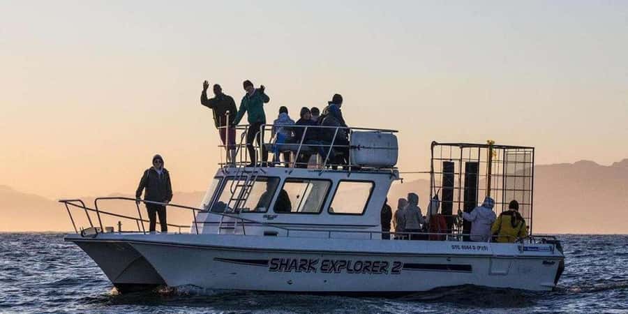 Cape Town: Shark Cage Diving Tour (with Breakfast & Lunch) - Three hours around Shark Alley