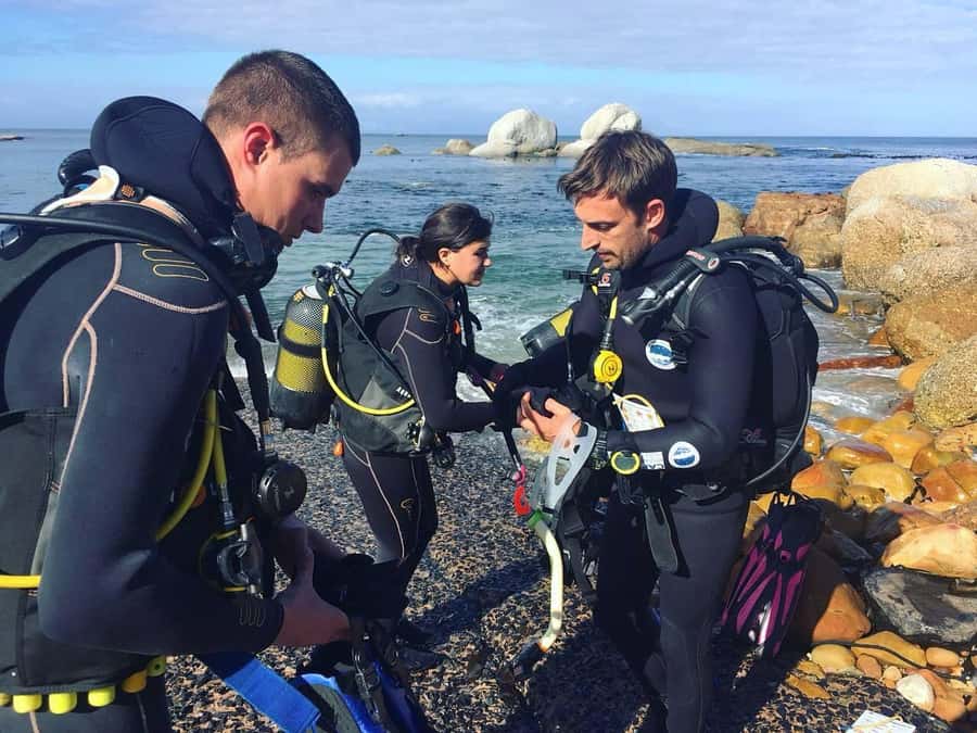 Cape Town: Shark Science SCUBA Diving Experience - Who should book this morning?