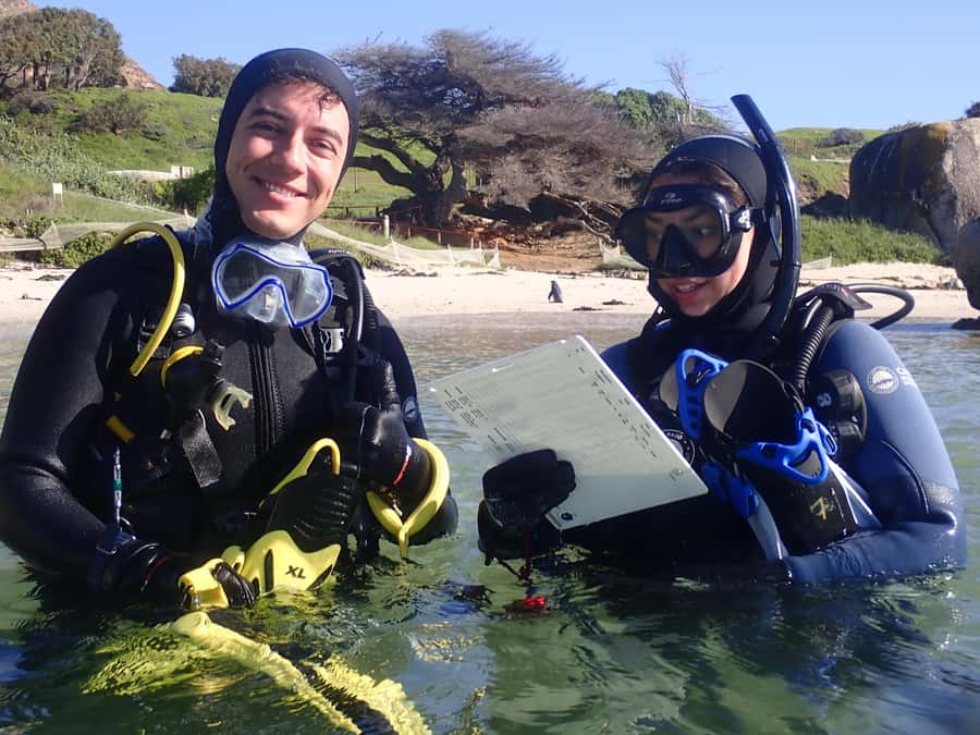 Cape Town: Shark Science SCUBA Diving Experience - What this Cape Town shark science experience really offers