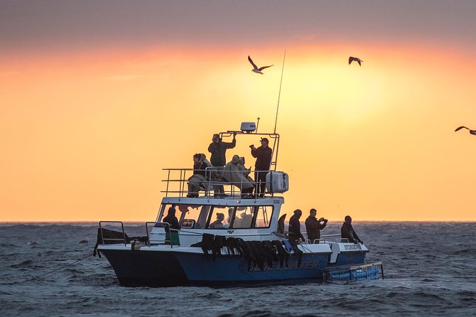 CapeTown: Shark Cage Diving Experience with Scuba - Leaving Simon’s Town for False Bay