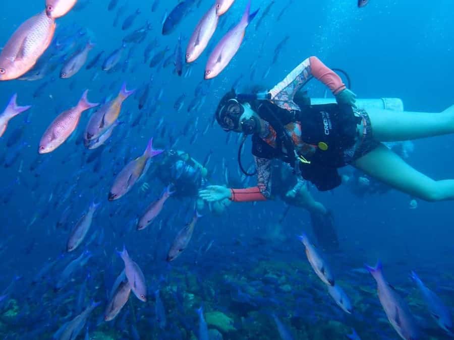 Cartagena: 2 Tanks Dive Plan For CERTIFIED DIVERS - Starting at 7:00 am from Cartagena’s Manga district