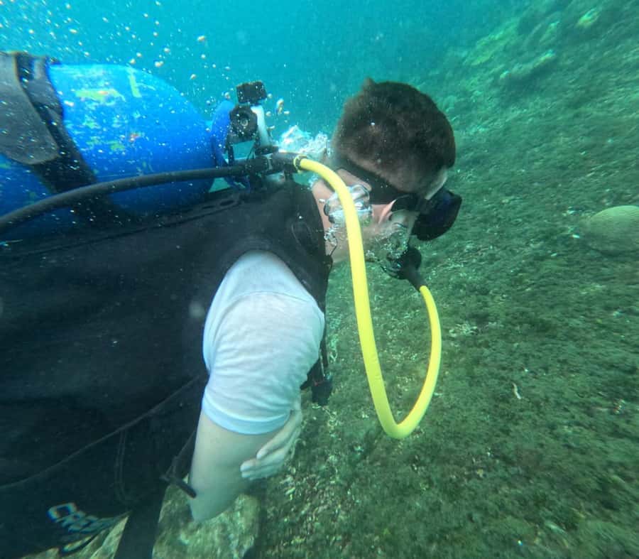 Cartagena: Basic Diving for beginners in Rosario Islands - Key points before you book