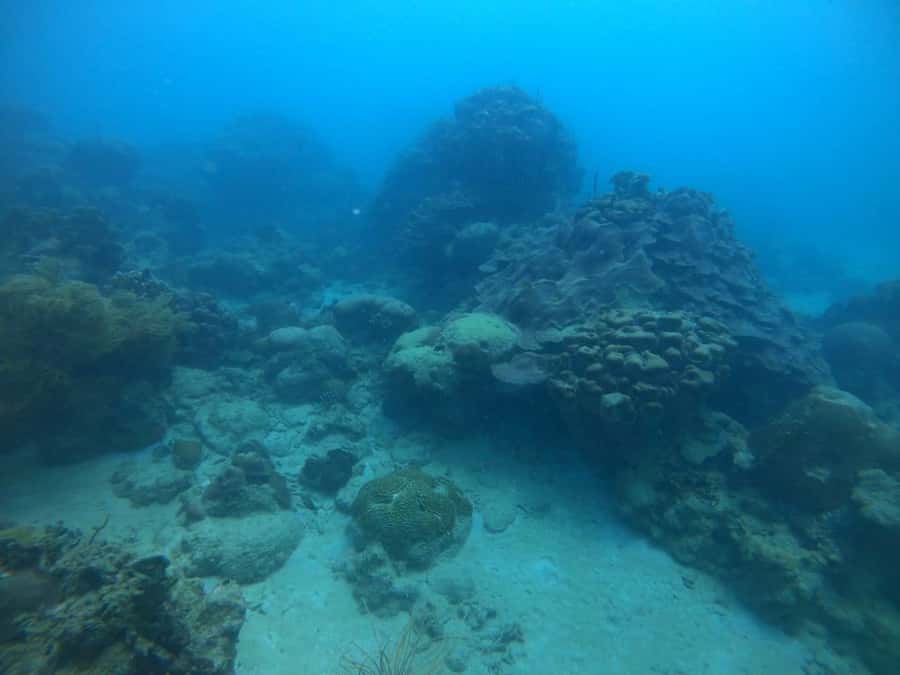 Cartagena: Basic Diving for beginners in Rosario Islands - Returning to Playa Blanca for lunch