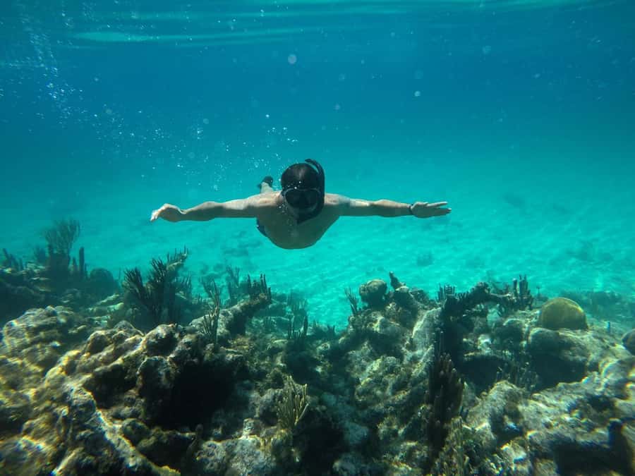Cartagena: Basic Diving for beginners in Rosario Islands - Morning pickup from Cartagena’s hotel districts