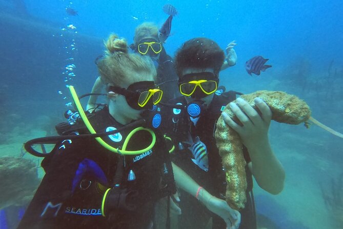 Catalina Island Diving - What the guide adds to a small group