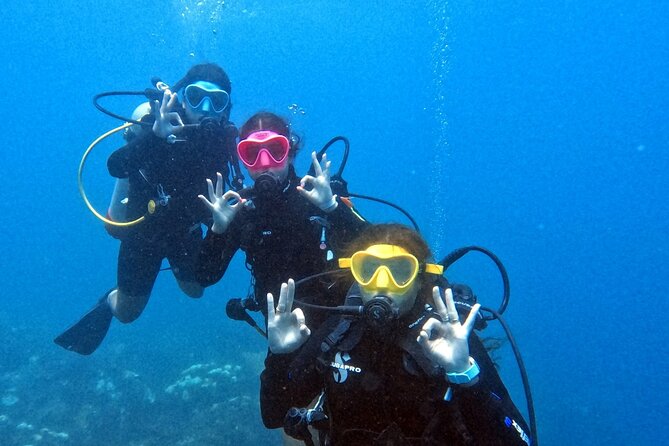 Catalina Island Diving - The mood: organized, friendly, and not fully private