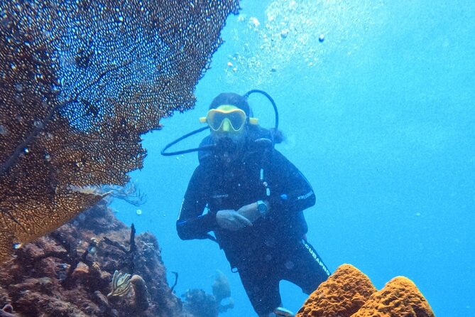 Catalina Island Diving - Who should book this Catalina outing