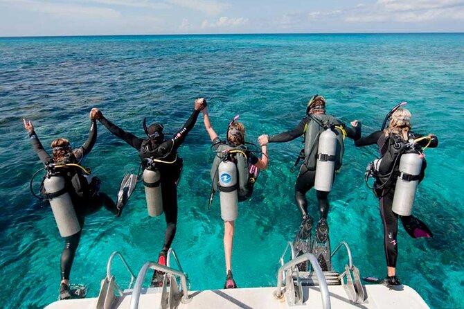 Catalina Island Diving Tour - What the Catalina Island day is really like