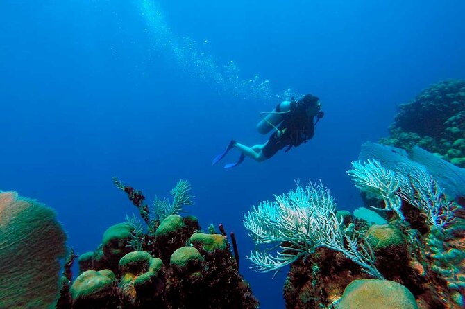 Catalina Island Diving Tour - Weather, cancellation, and planning risk