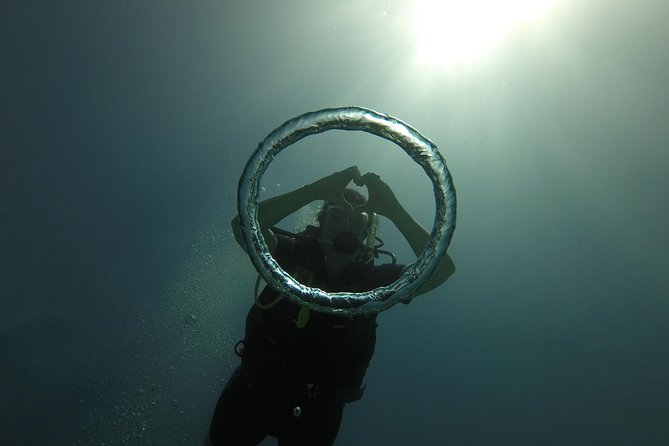 Catalina Island Scuba Diving - Amazing Full Day Tour! - The Return Trip Around 3:00 p.m.