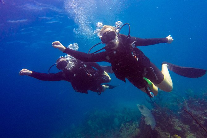 Catalina Island Scuba Diving - Amazing Full Day Tour! - Who Will Get the Most From This Tour?