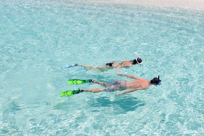 Catalina Island Scuba Diving and Snorkeling Tour from Punta Cana - Key points to know before booking
