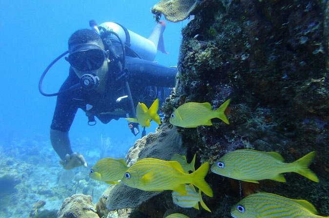 Catalina Island Scuba Diving and Snorkeling Tour from Punta Cana - Catalina Island: sand, water, and lunch