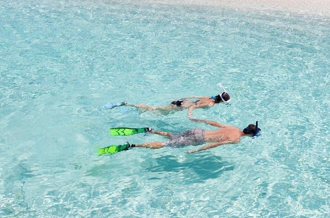 Catalina Island Scuba Diving and Snorkeling Tour from Punta Cana - Who will enjoy this Catalina Island day