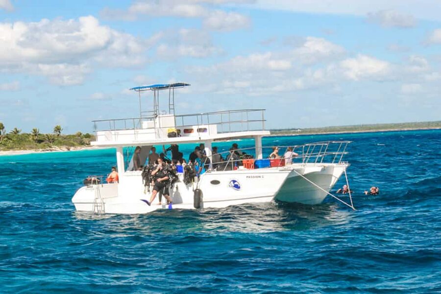 Catalina Island Scuba Diving Tour from Punta Cana - What $175 gets you