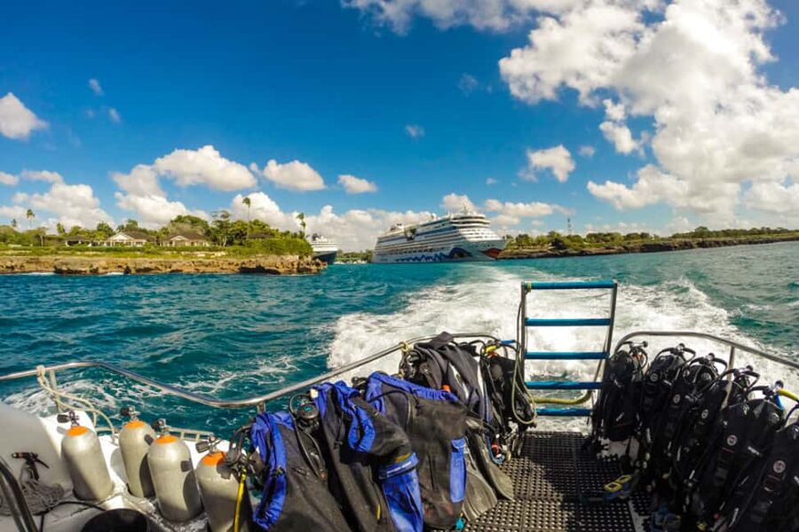 Catalina Island Scuba Diving Tour from Punta Cana - Beginners need extra care