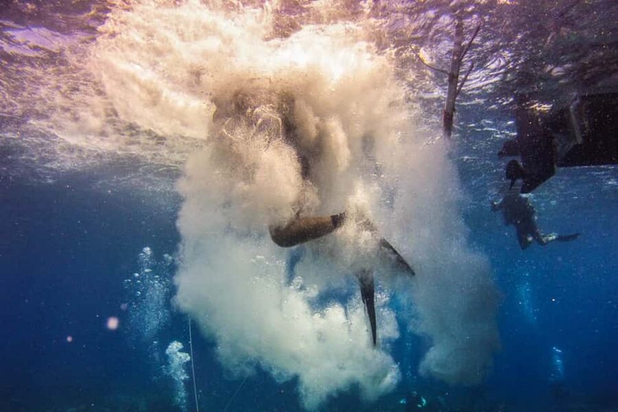 Catalina Island Scuba Diving Tour from Punta Cana - Safety, service, and the mixed record