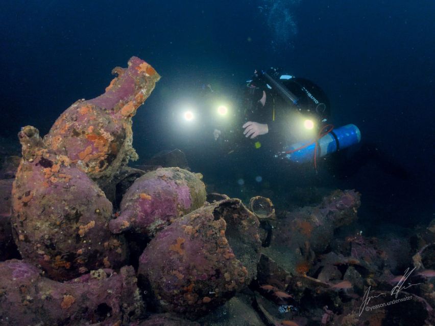 Catania : Diving for patented divers - The marine life to look for