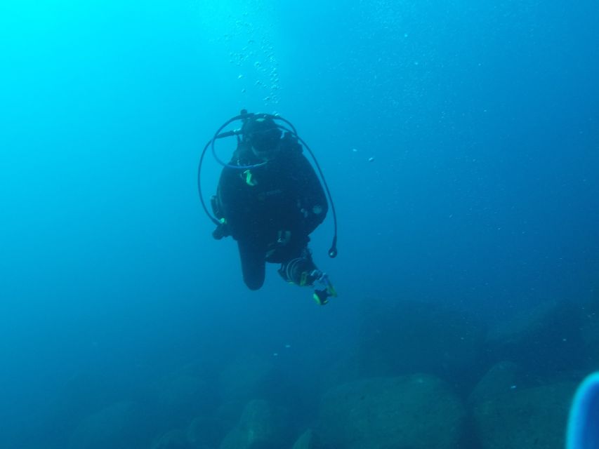 Catania : Diving for patented divers - My verdict on this protected-area outing
