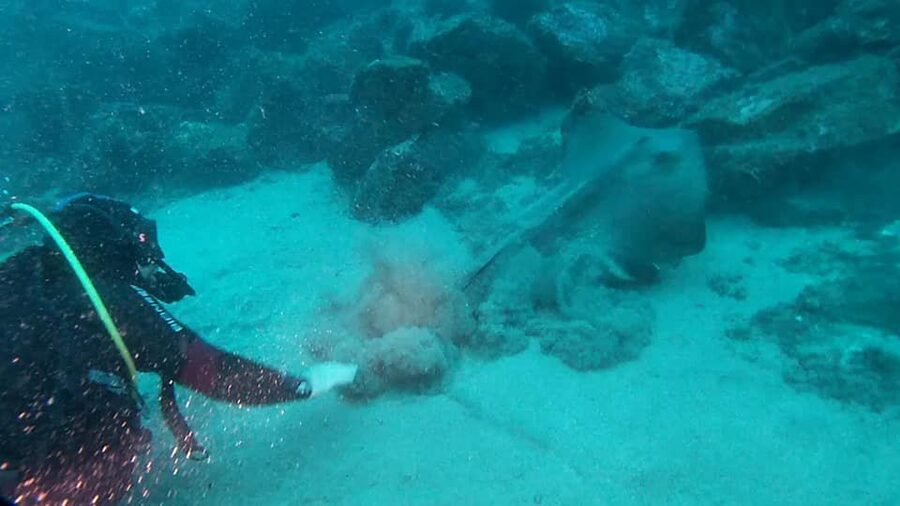 Catania: Gulf Scuba Diving Tour with Marine Biologist - Practical advice before you book