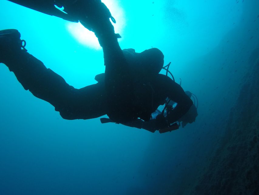 Catania: Gulf Scuba Diving Tour with Marine Biologist - A calm session for first-time scuba participants