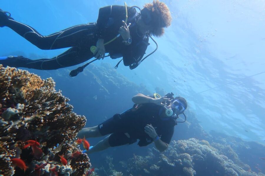 Catania: Gulf Scuba Diving Tour with Marine Biologist - Is $82 a fair price?