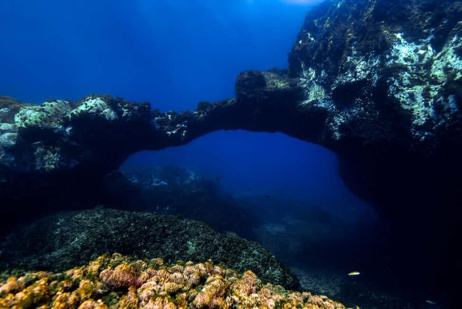 Catania: Scuba Diving Experience - Key points at a glance