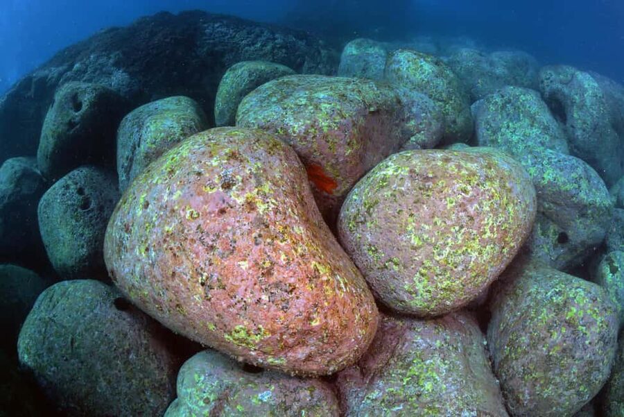 Catania: Scuba Diving Experience - Who will enjoy this Catania scuba experience?
