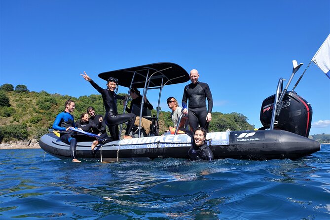 Cathedral Cove Dive & Snorkel- Marine Reserve specialised trips - The highlights at a glance
