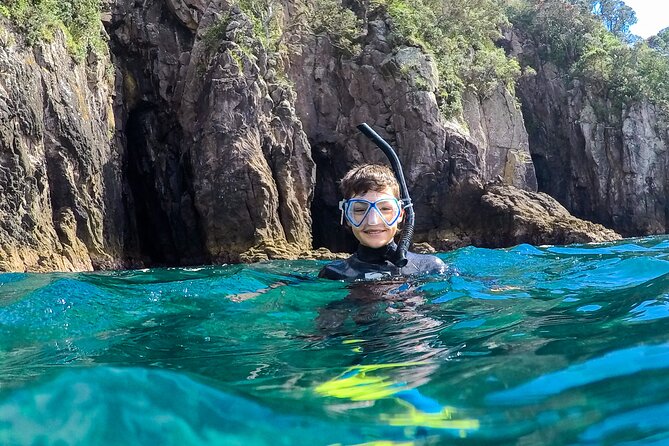 Cathedral Cove Dive & Snorkel- Marine Reserve specialised trips - Is $98.67 good value?