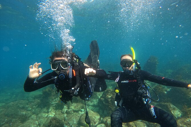 Cathedral Cove Dive & Snorkel- Marine Reserve specialised trips - Who will enjoy this most