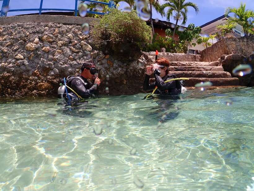 Cebu: Beach Scuba Diving Experience - Key points to know before booking
