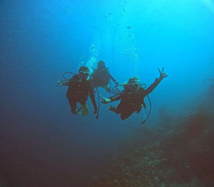 Cebu: Beach Scuba Diving Experience - Sardines, turtles, and a busy underwater world