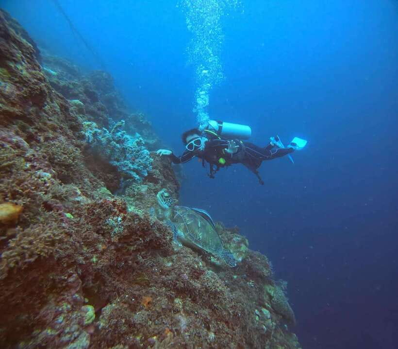 Cebu: Beach Scuba Diving Experience - Should you book this Cebu scuba experience?