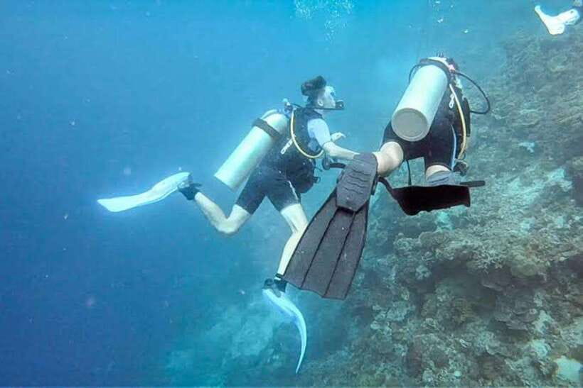 Cebu: Moalboal Scuba Diving, Sardines Run & Pescador Snorkel - Key Points to Know Before You Book