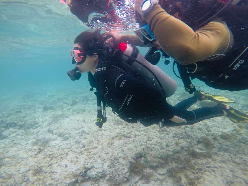 Cebu: Moalboal Scuba Diving with Sardines and Turtle Snorkel - What to expect around Pescador Island