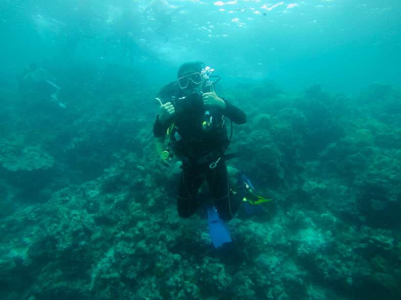 Cebu: Moalboal Scuba Diving with Sardines and Turtle Snorkel - Final call: book it for the sardines