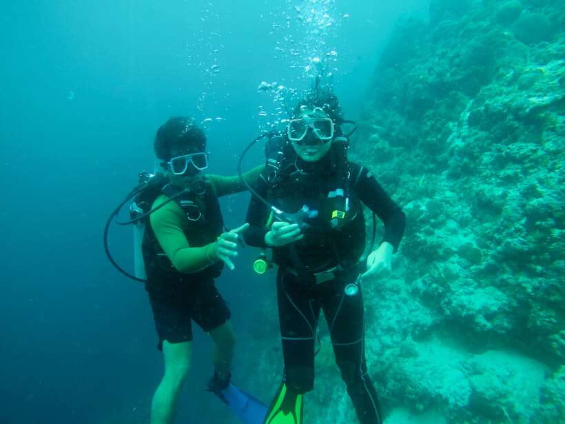 Cebu: Moalboal Scuba Diving with Sardines and Turtle Snorkel - The first underwater stop: Moalboal’s sardine run